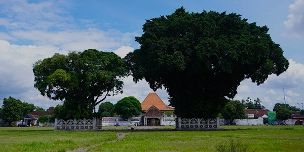 Searching for the perfect hangout spot in Yogyakarta? Look no further than Alun-alun Kidul, nestled on the south side of the Yogyakarta Palace. Affectionately known as Alkid, this locale is famed for the enchanting 'Masangin' myth